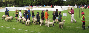 Onewhero Ag Day @ Onewhero Area School | Onewhero | Auckland | New Zealand