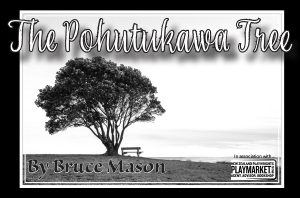 The Pohutukawa Tree @ OSPA Theatre | Onewhero | Waikato | New Zealand