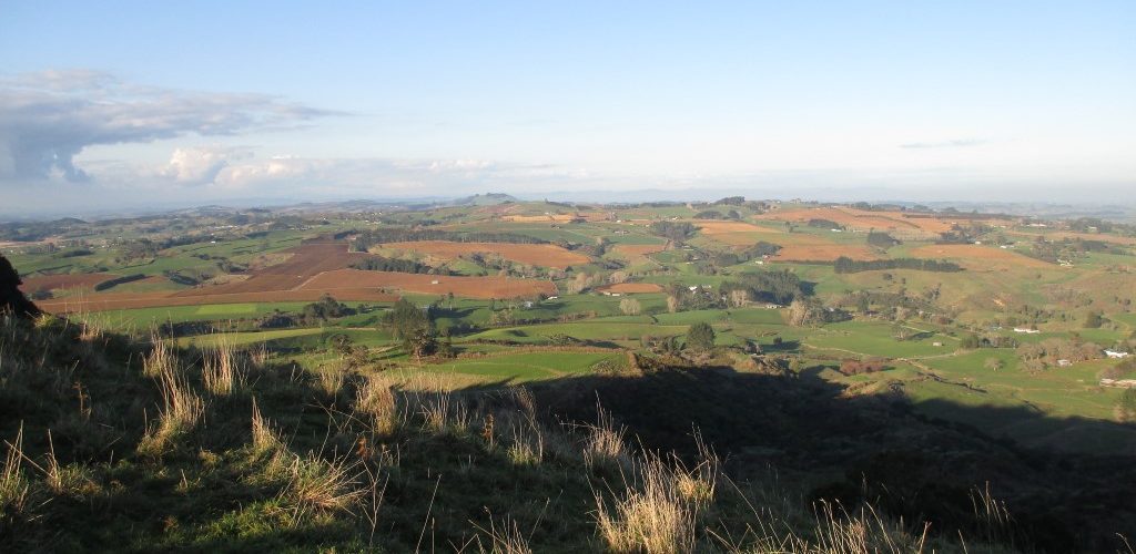 view of onewhero