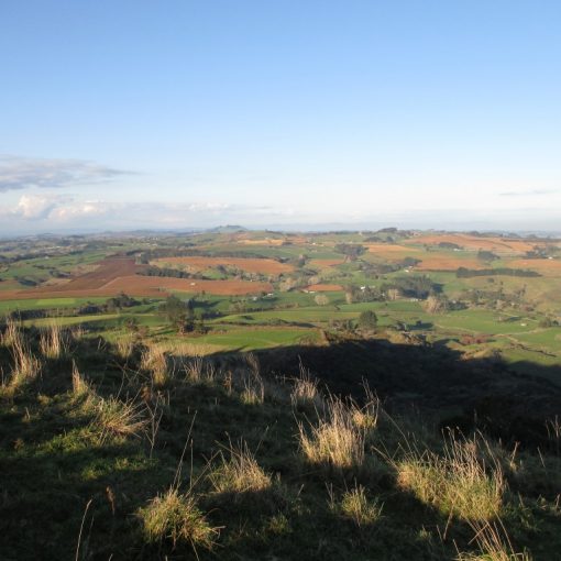 view of onewhero