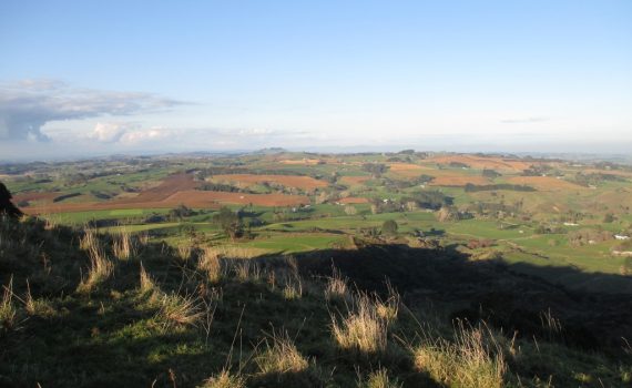 view of onewhero