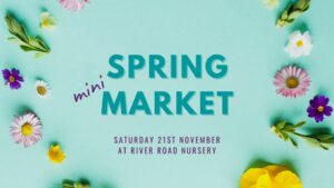 Spring Market @ River Road Nursery